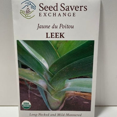 Organic Jaune du Poitou Leek Hieiloom Open Pollinated Seeds